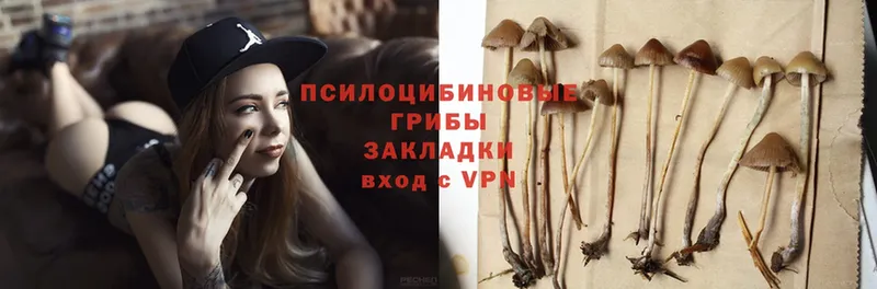 где продают   Аткарск  Галлюциногенные грибы Magic Shrooms 